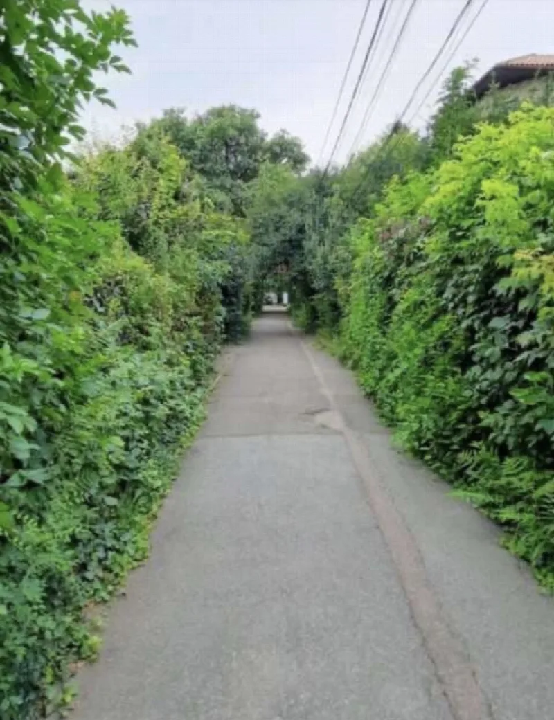 Land, 98 m², Shevchenko-Frantsuzkyi
