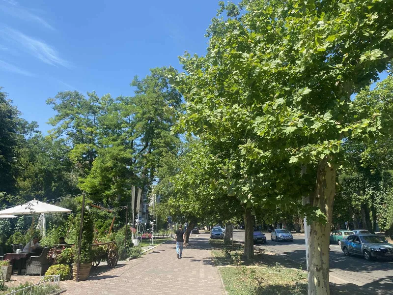 Комерційна, 40 м², Шевченко-Французький