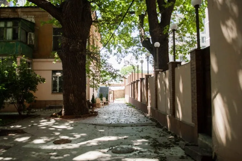 Коммерция, 165 м², Шевченко-Французский
