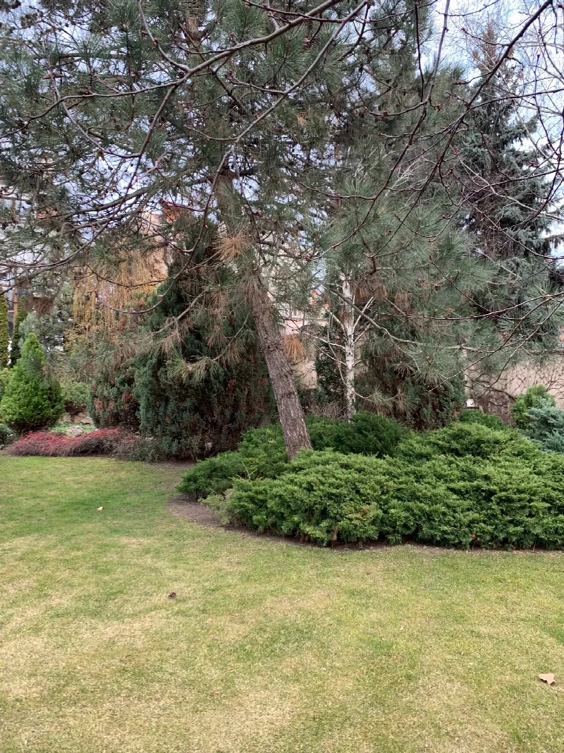 5-кімнатний будинок, 550 м², Фонтан