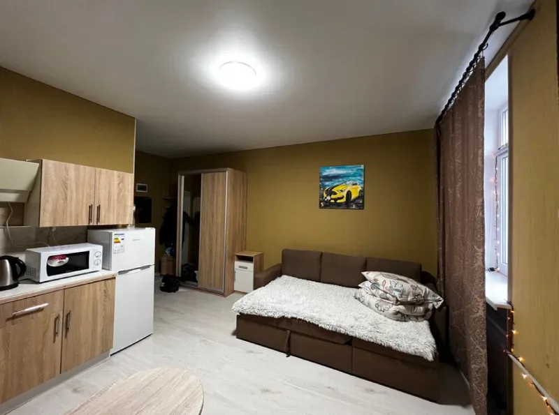 1-кімнатна квартира, 24 м², Пересип