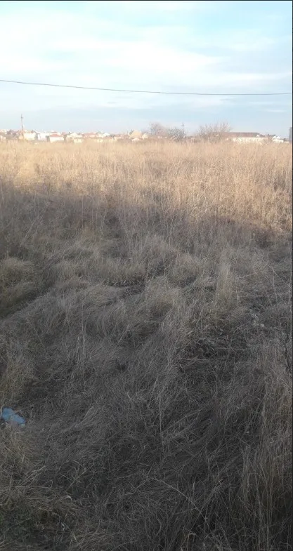 Land, Burlacha Balka
