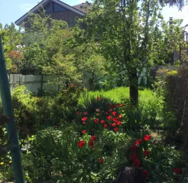 Land, 80 m², Fontan