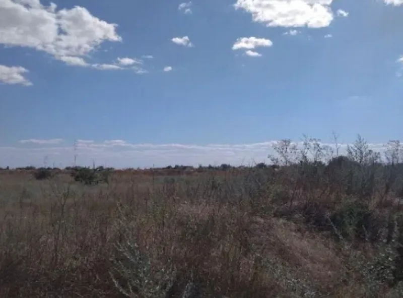 Land, Zelenyi Hai