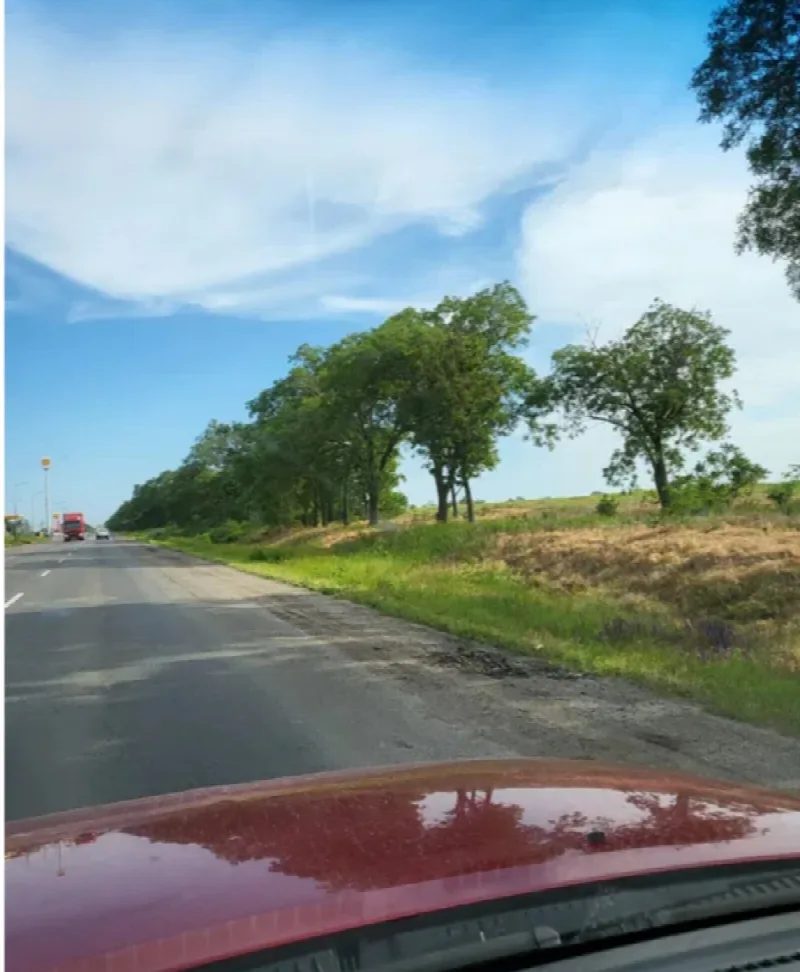 Property #33425