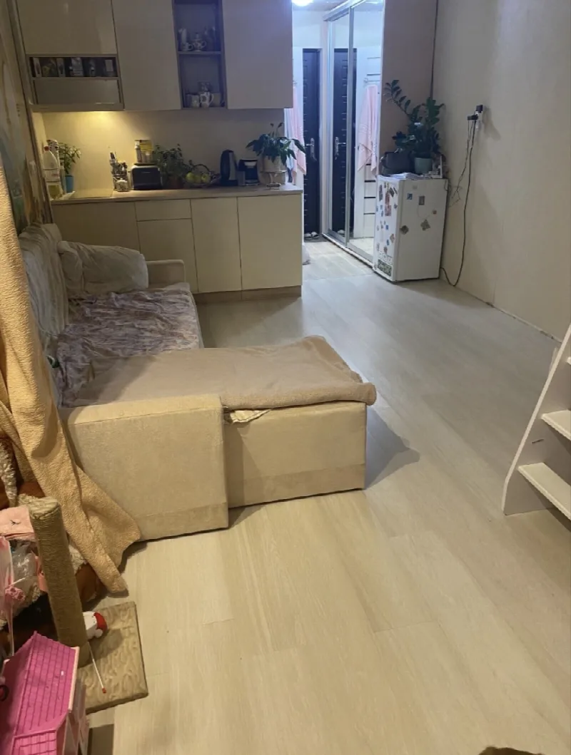 1-кімнатна квартира, 23 м², Миколи Боровського, 37, Слобідка
