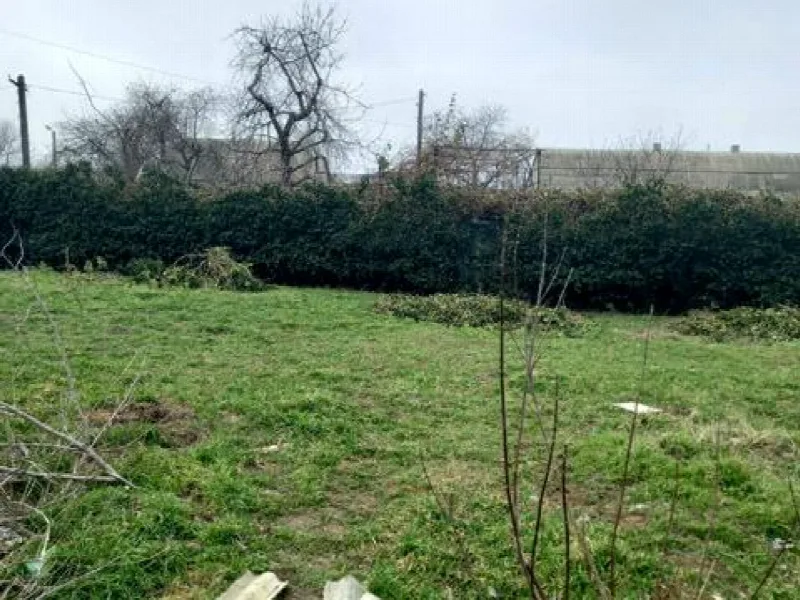 Land, Chervonyi Khutir