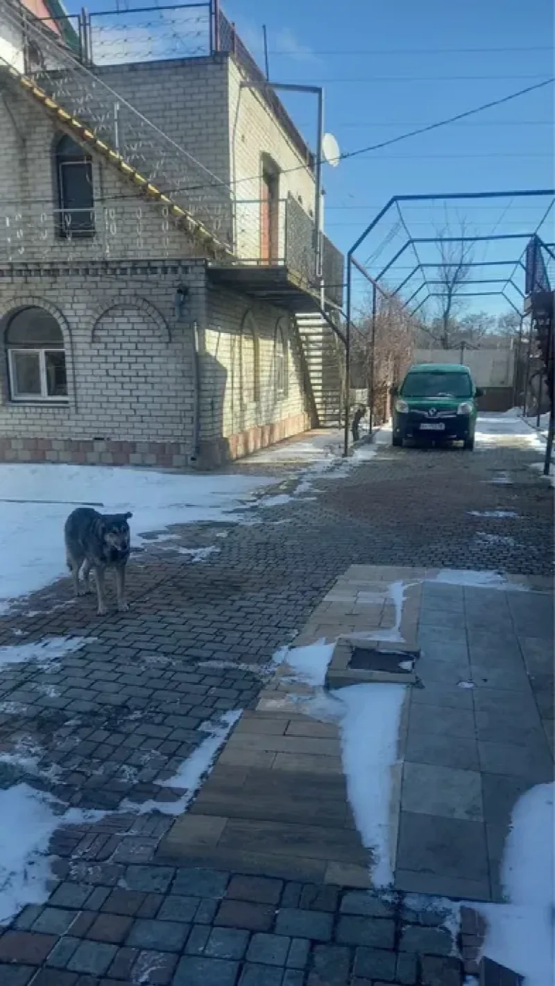 10-кімнатний будинок, 650 м², Котовського