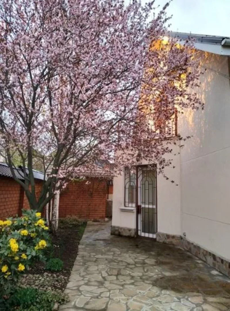 6-кімнатний будинок, 270 м², Молодіжне