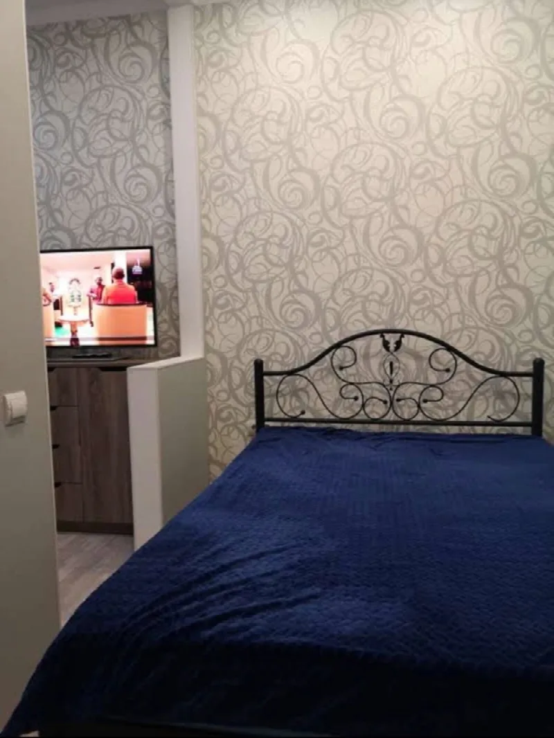 1-кімнатна квартира, 20 м², Центр