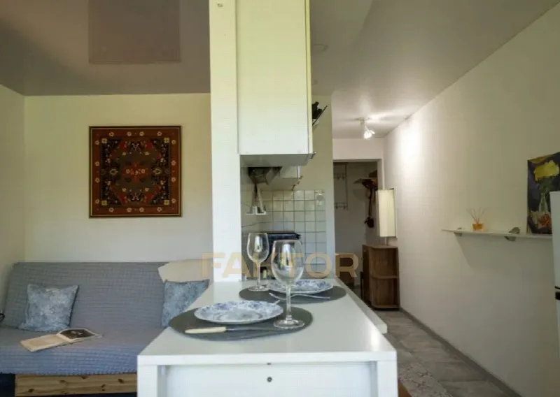 1-room apartment 30 m², floor 3/4, Rybalska St