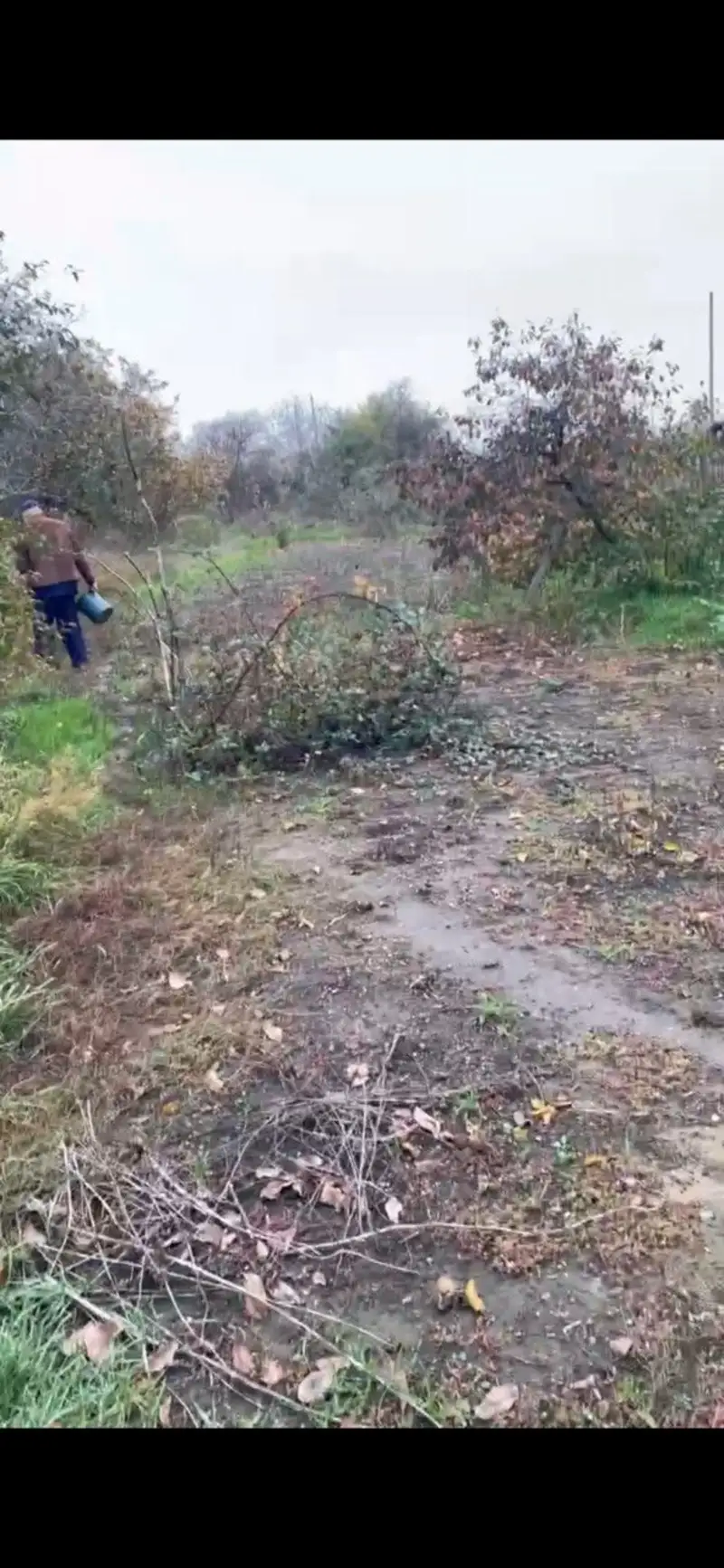 Земельна ділянка, ділянка 15.8 сот., вул. Новоселів, Великий Дальник